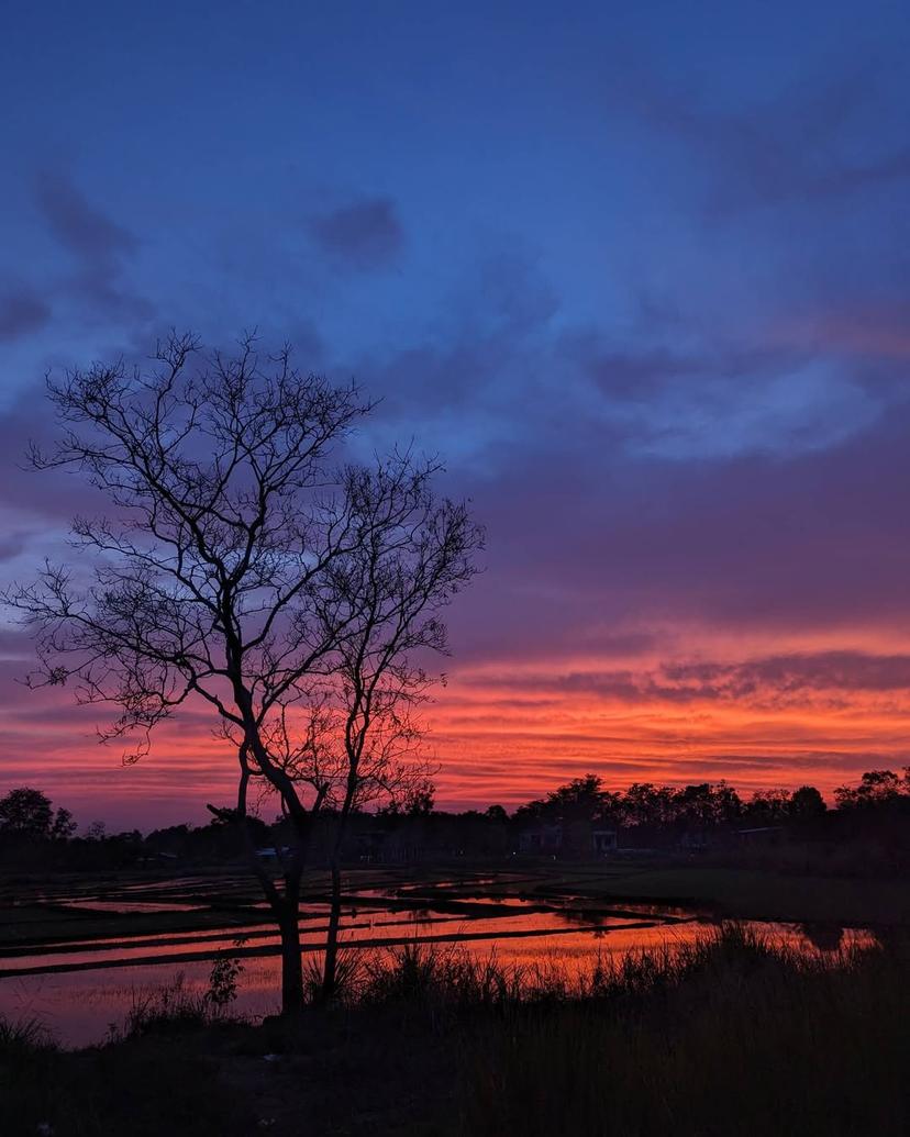 My kind of evening 😌